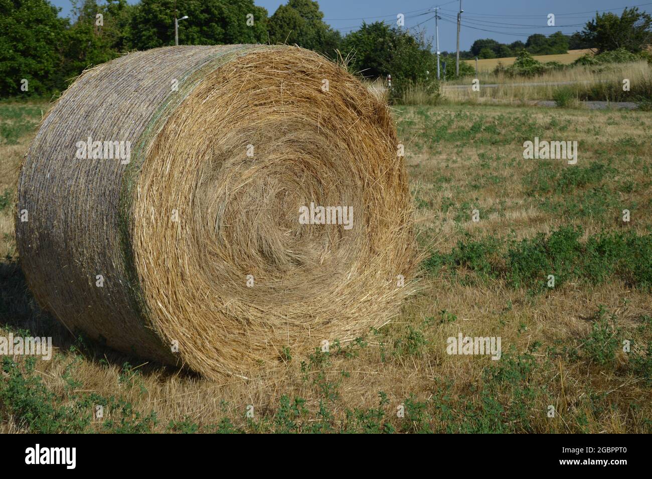 Round hay bale on the grassy field in the countryside Stock Photo - Alamy