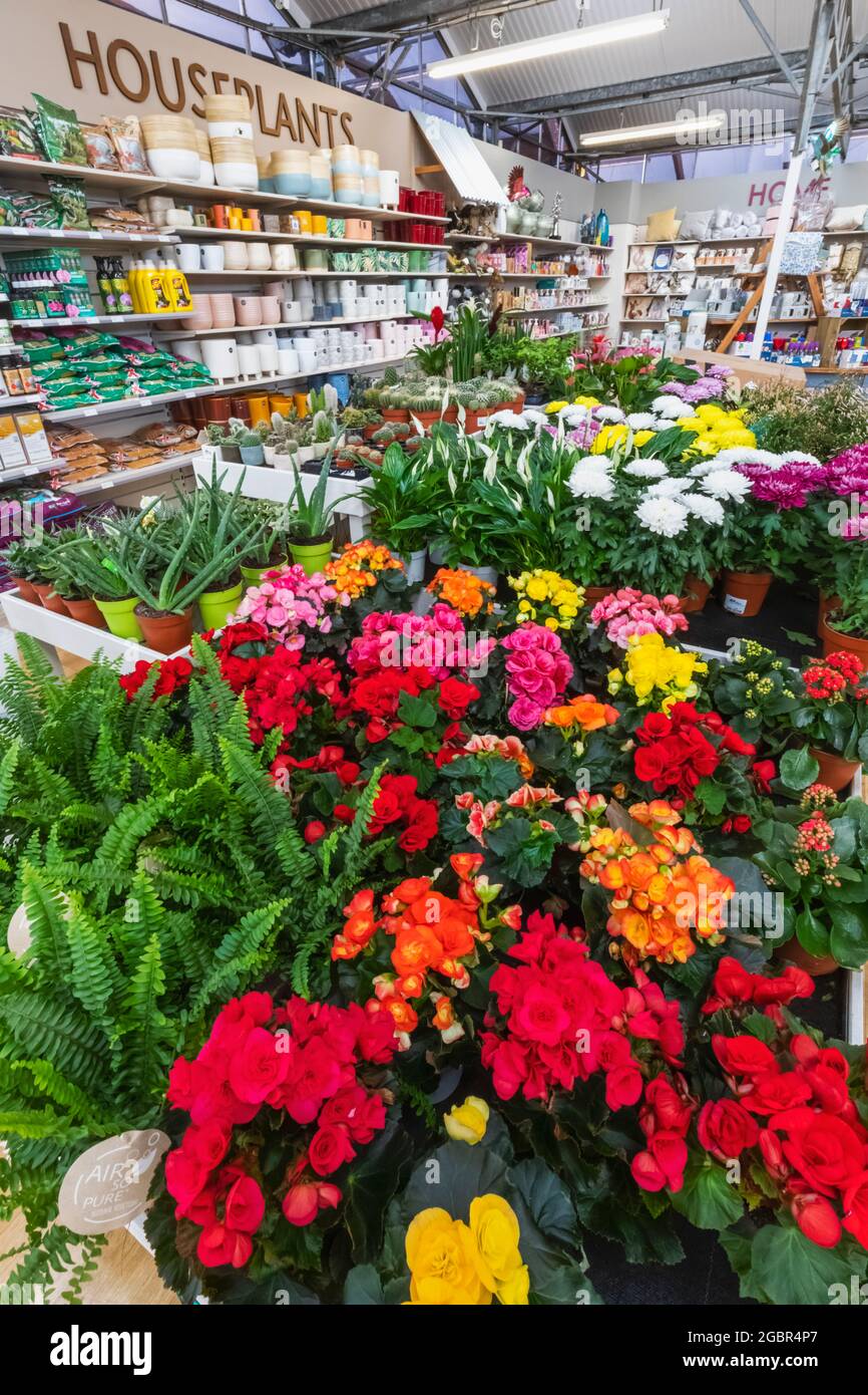 Hillier garden centre hi-res stock photography and images - Alamy