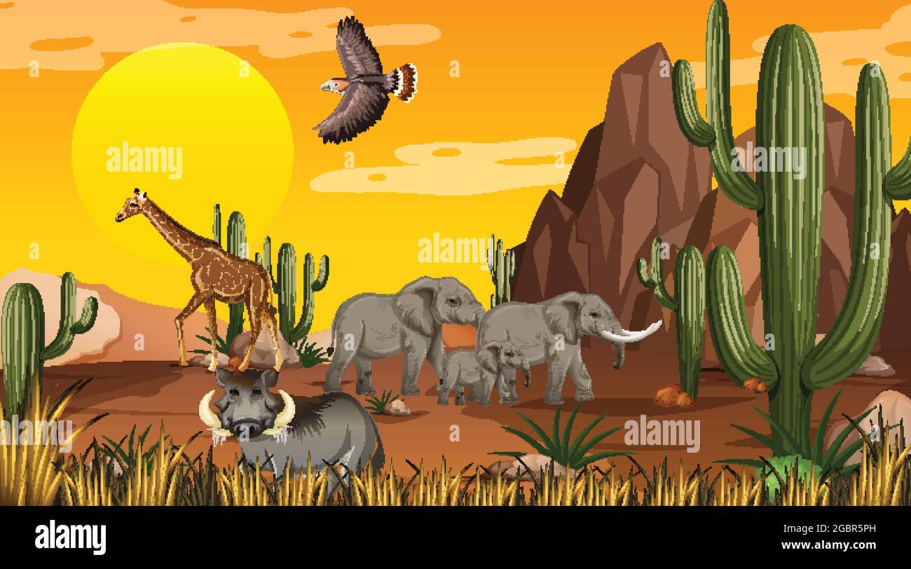 Desert forest landscape at sunset time scene with wild animals ...