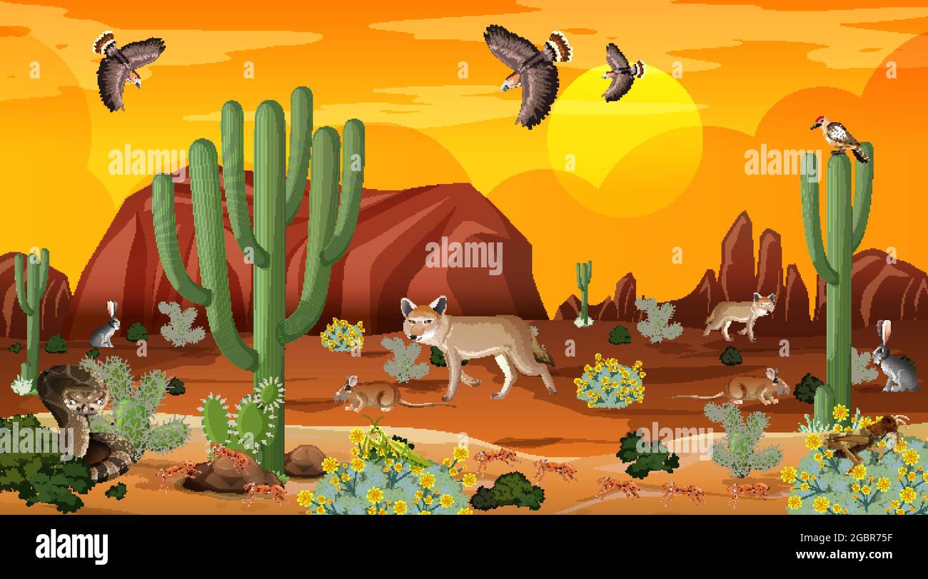 Desert forest landscape at sunset time scene with wild animals ...