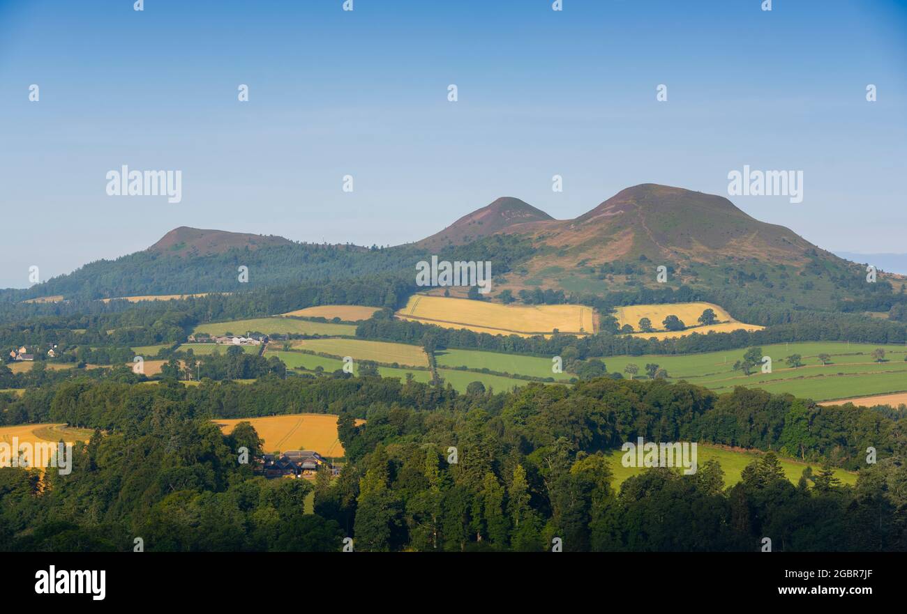 A view of the Eildon Hills from Scott’s View in the Scottish Borders.Scotland, UK  Photo Phil Wilkinson / Alamy Stock Photo