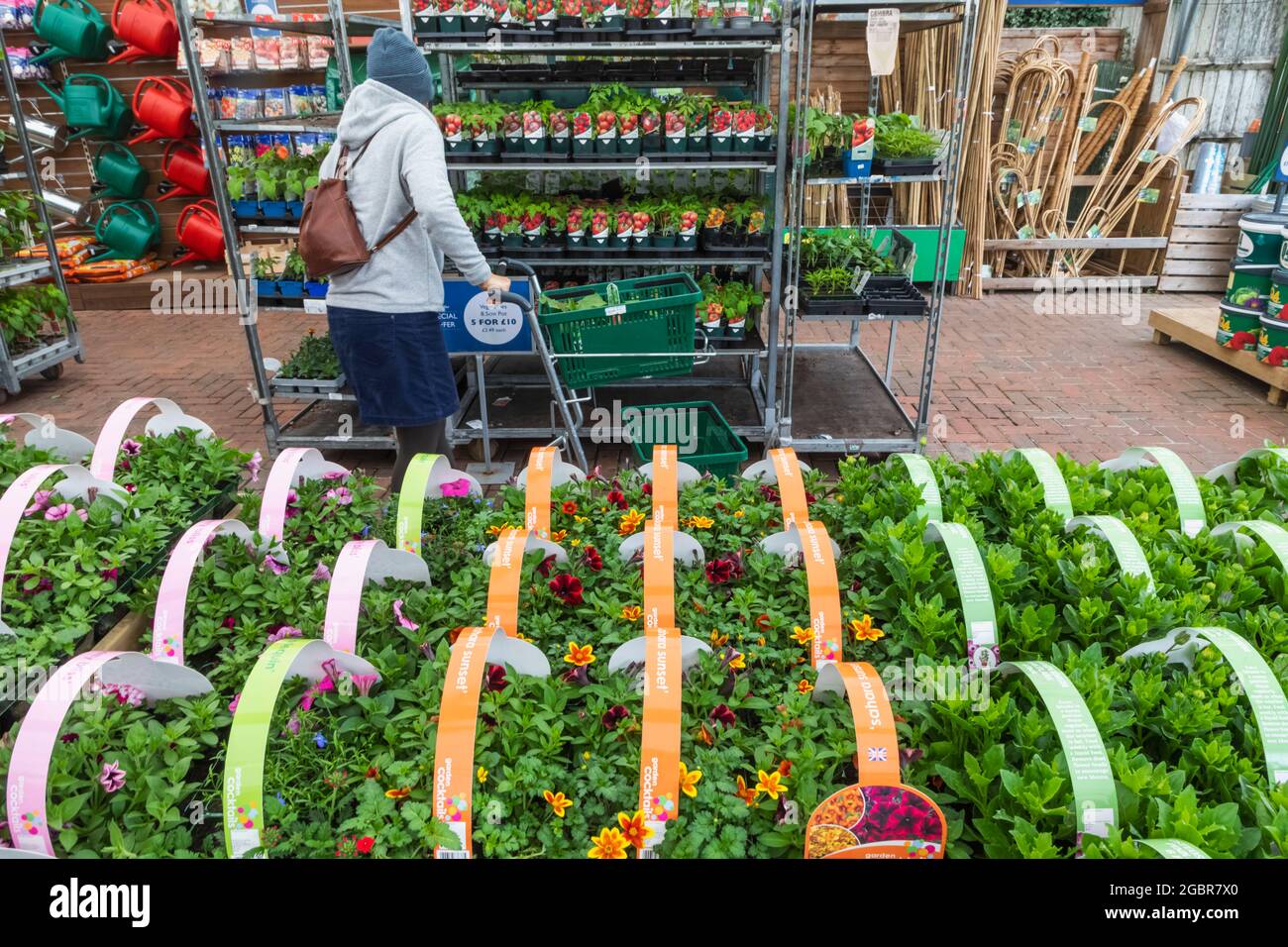 England, Hampshire, Romsey, Braishfield, Hillier Garden Centre, Female
