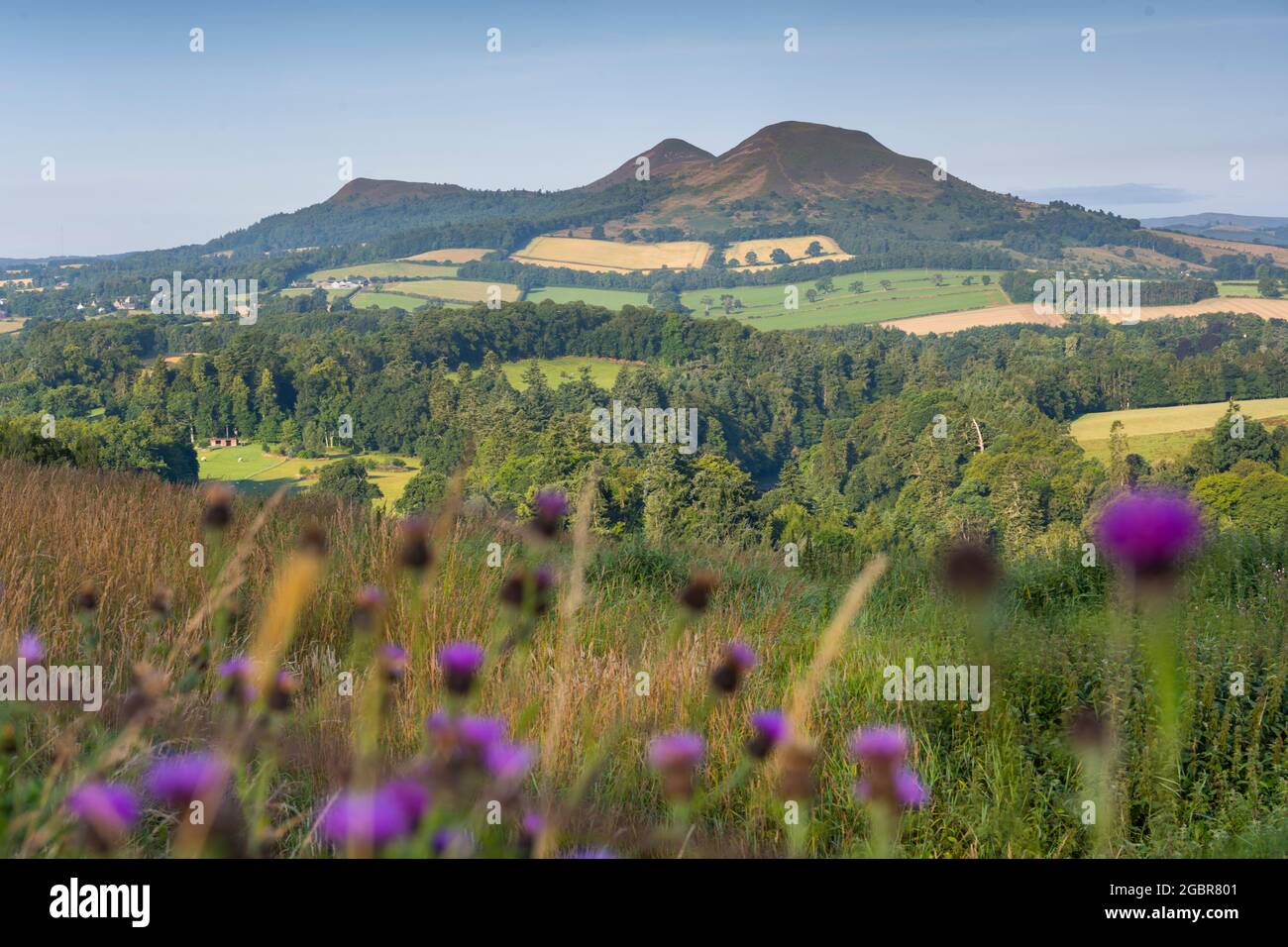 A view of the Eildon Hills from Scott’s View in the Scottish Borders.Scotland, UK  Photo Phil Wilkinson / Alamy Stock Photo
