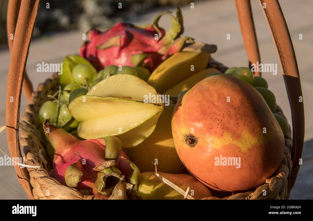 Straw basket full of brightly coloured mix of seasonal fresh fruit. Colourful, fresh, gift, sunshine, outdoors. Queensland, Australia. Stock Photo