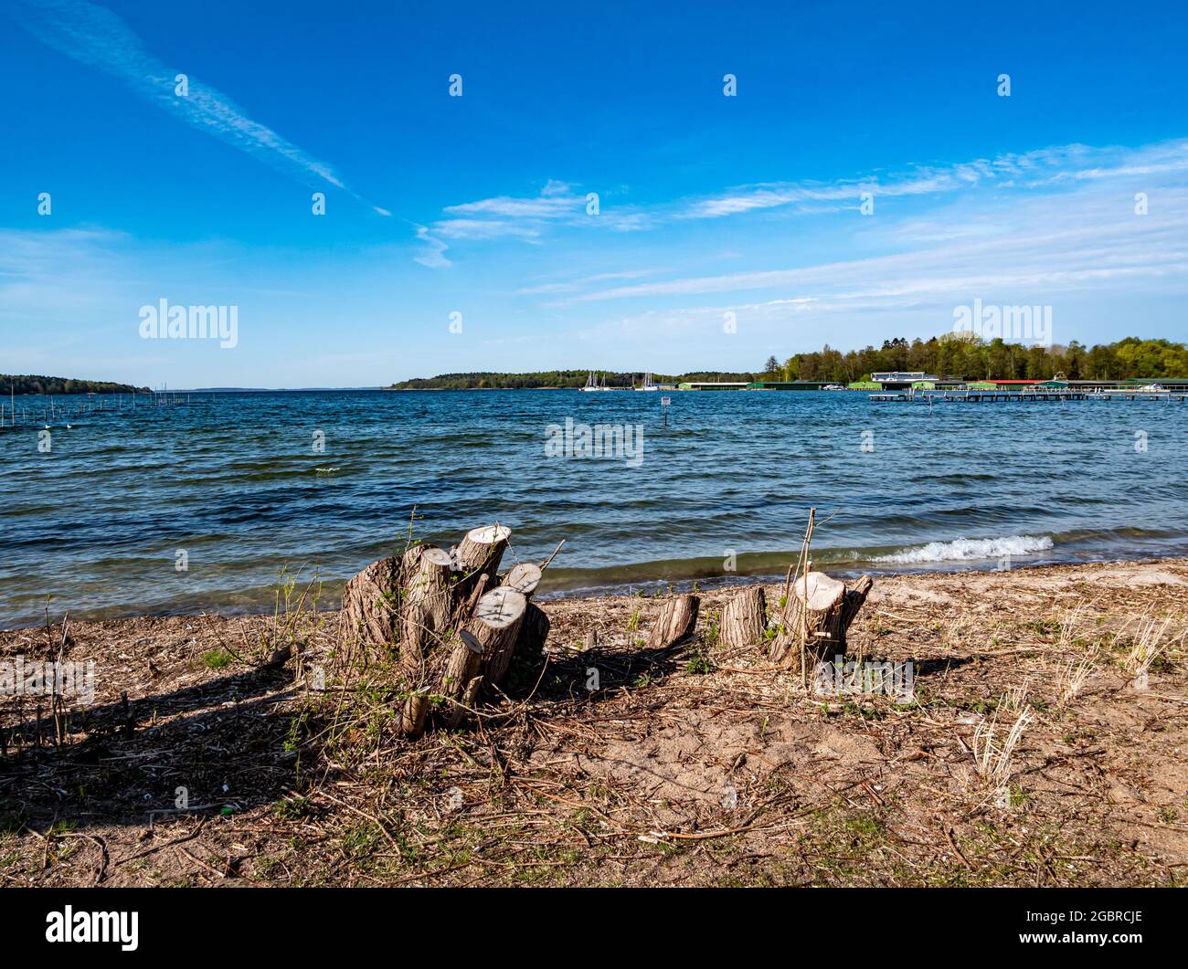 On the shores of the lake in the Mecklenburg Lake District in Germany Stock Photo
