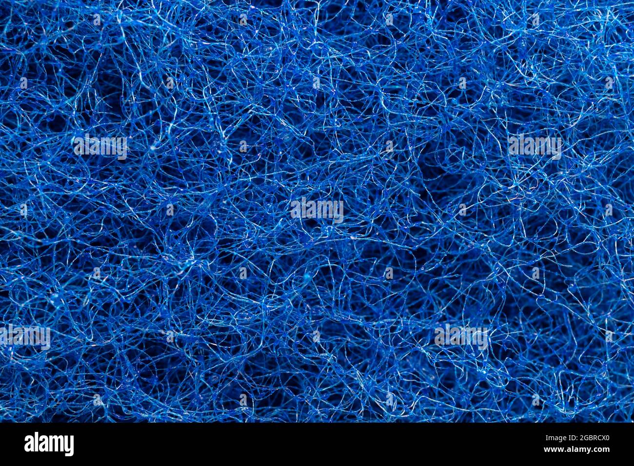 Sponge texture background, natural luff sponge macro view Stock Photo