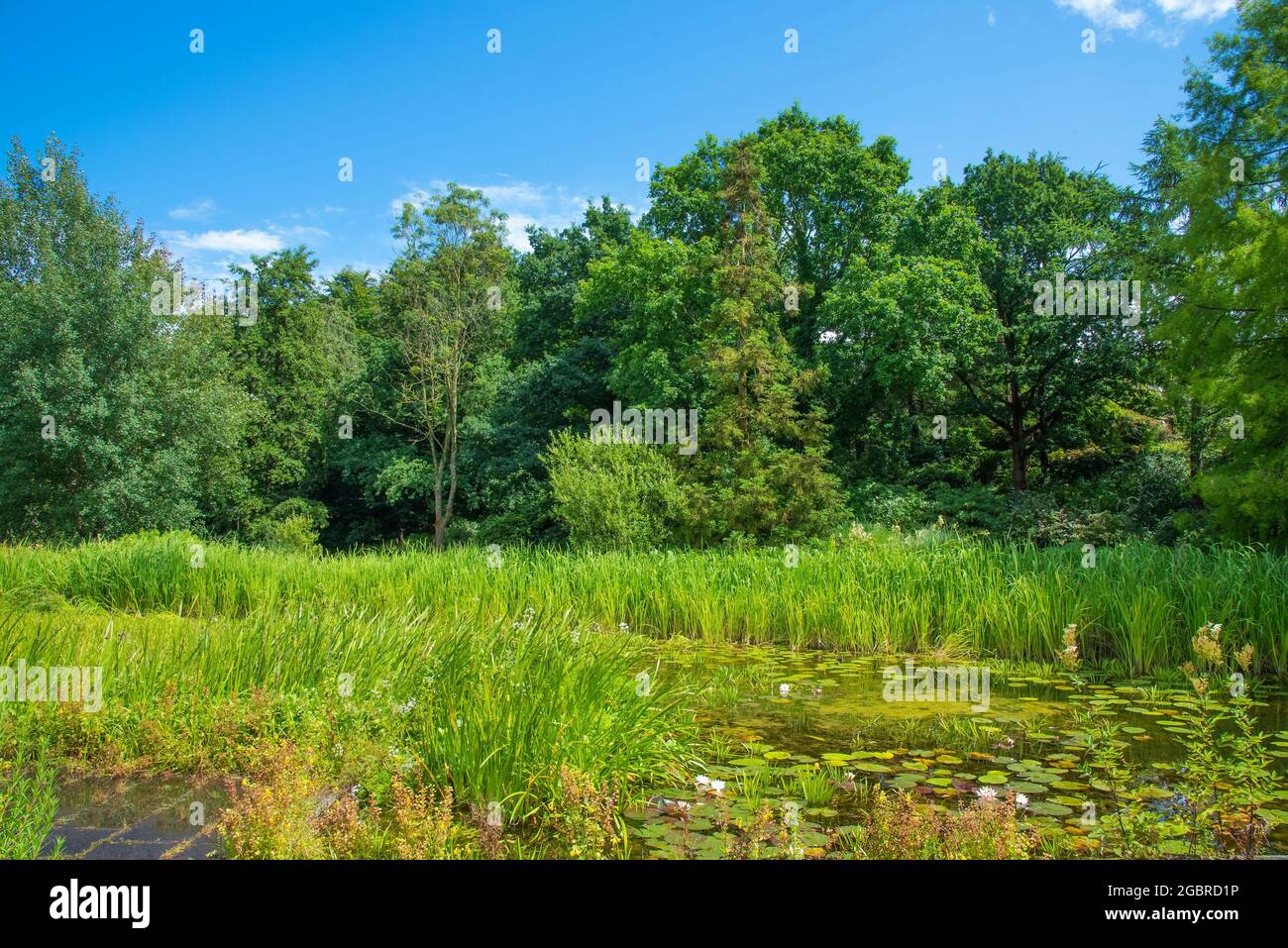 Beautiful public park in Botanic Garden in Kiel town consists numerous