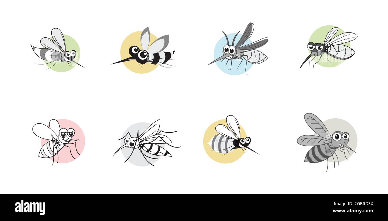 Insect mosquito icon Template vector illustration Stock Vector Image ...