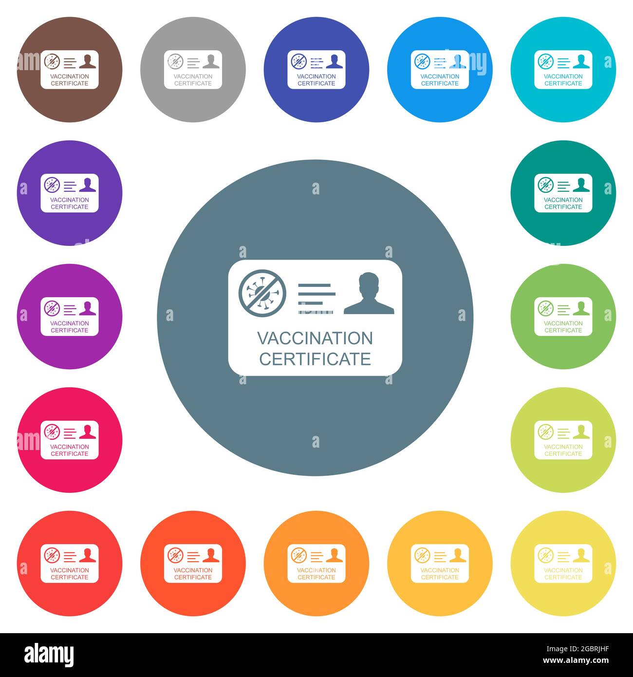 Vaccination certificate flat white icons on round color backgrounds. 17 ...