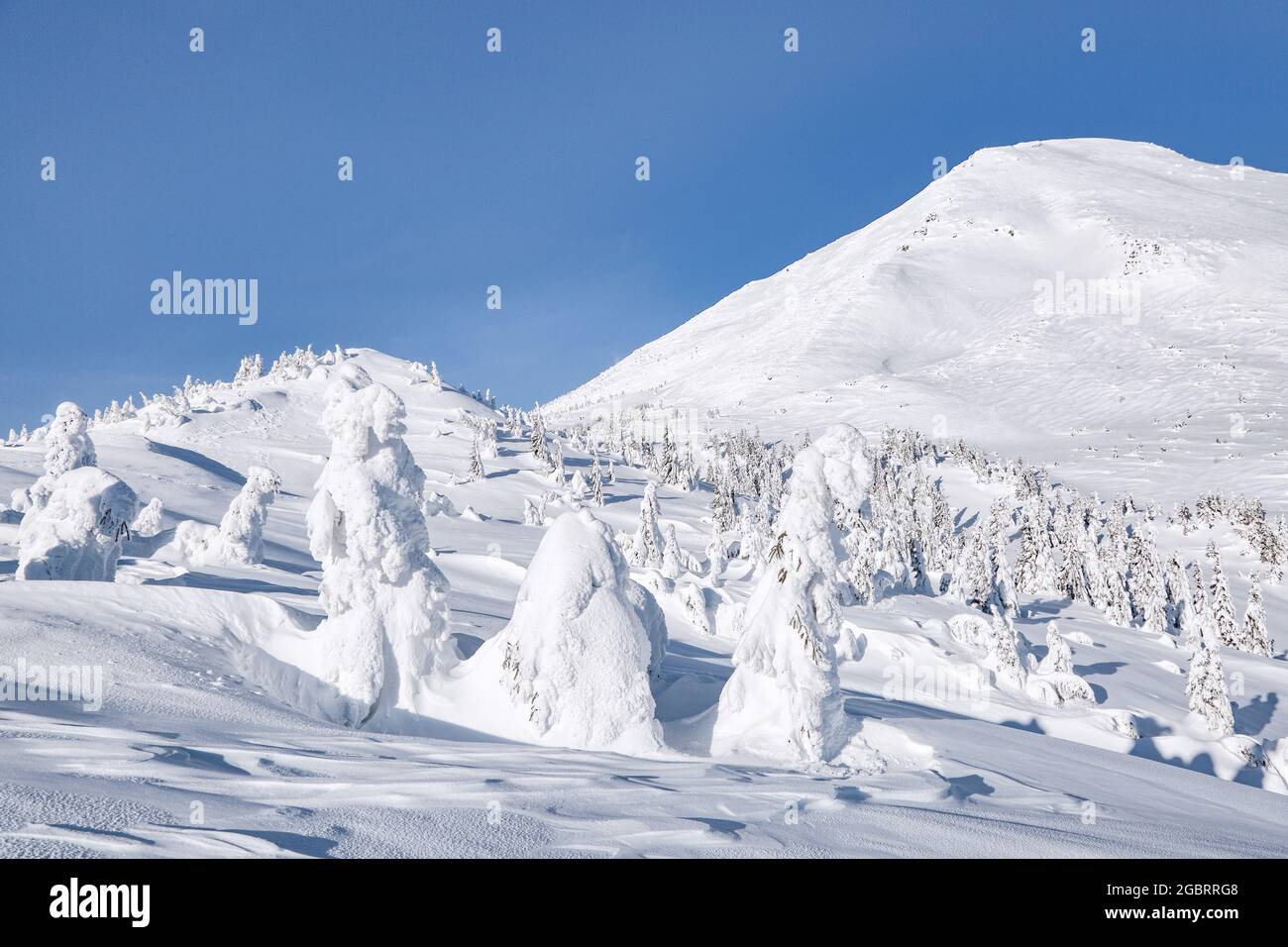 Landscape of high mountains with snow white peaks and forests. A