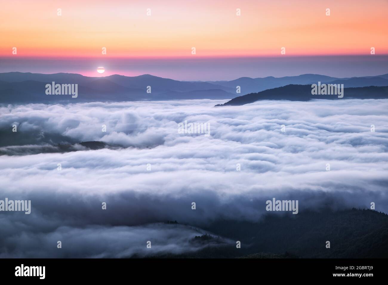 Foggy forest morning sunrise nature hi-res stock photography and images ...