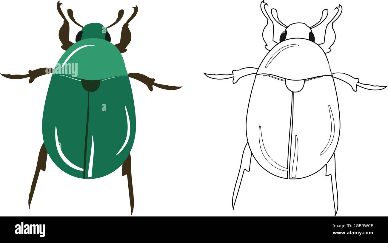 Beetle or Coleoptera Vector Illustration Fill and Outline Isolated on White Background. Insects Bugs Worms Pest and Flies.Entomology or Pest Control B Stock Vector