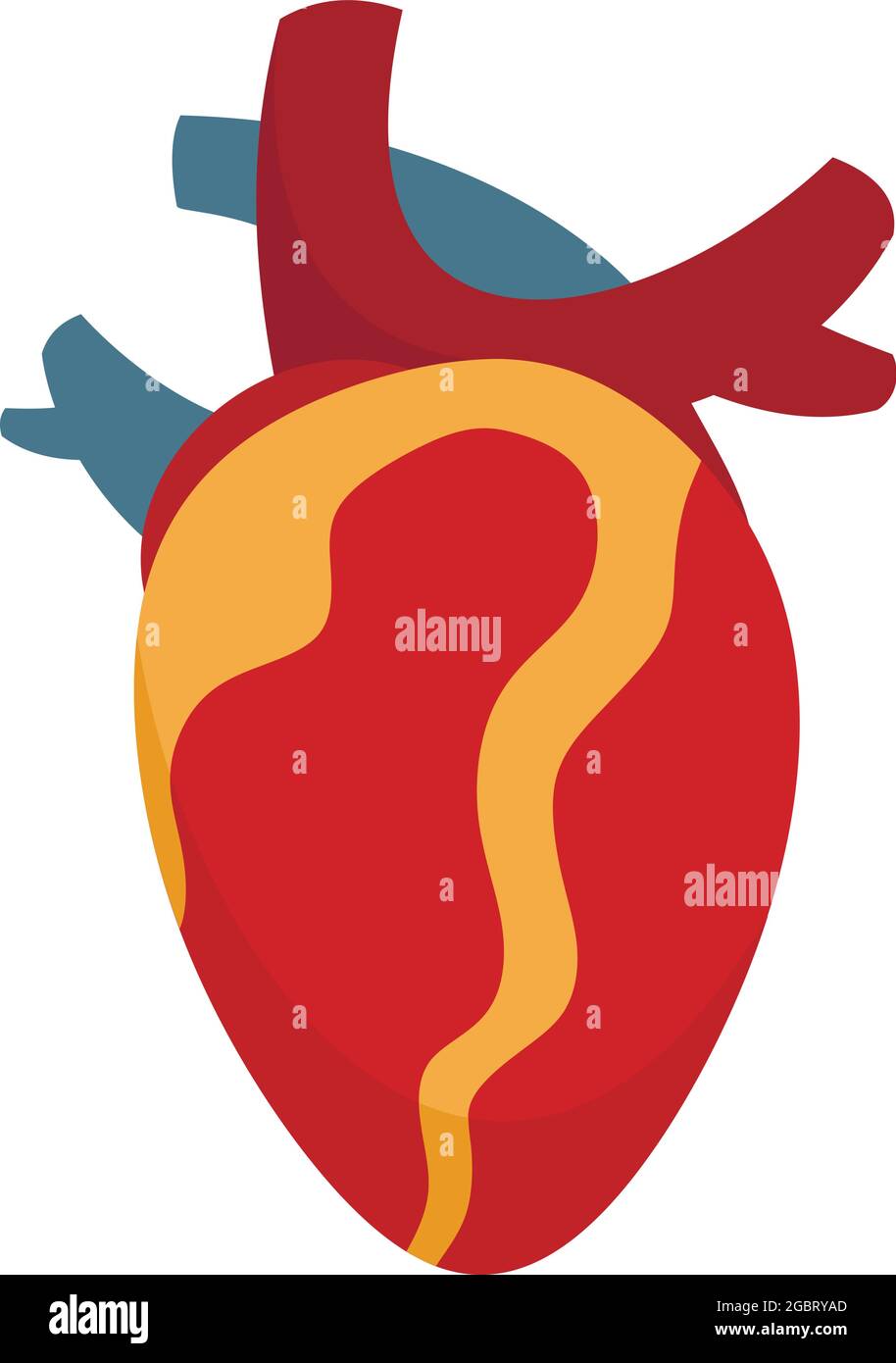 Anatomy human heart icon. Flat illustration of anatomy human heart vector icon isolated on white background Stock Vector