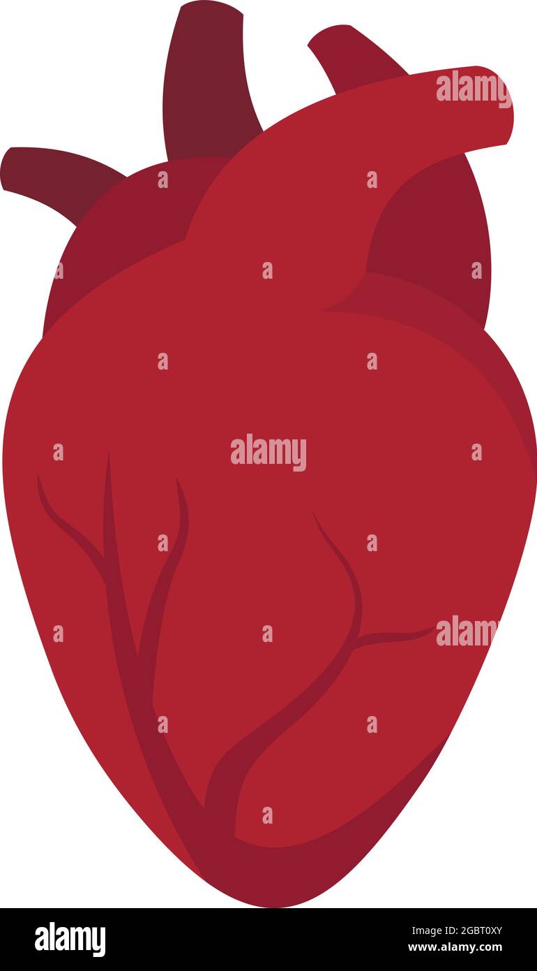 Organ human heart icon. Flat illustration of organ human heart vector ...