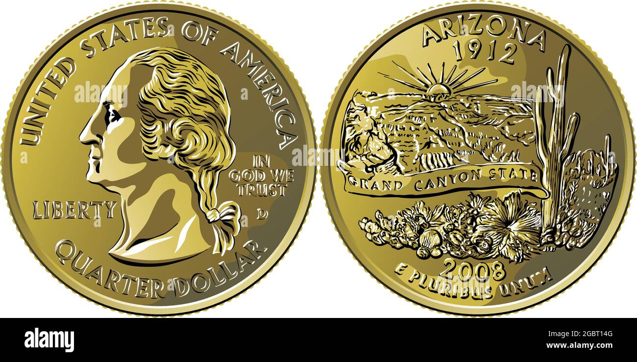 American money, USA Washington quarter dollar Arizona or 25-cent silver coin, George Washington on obverse, Grand Canyon, saguaro cactus on reverse Stock Vector