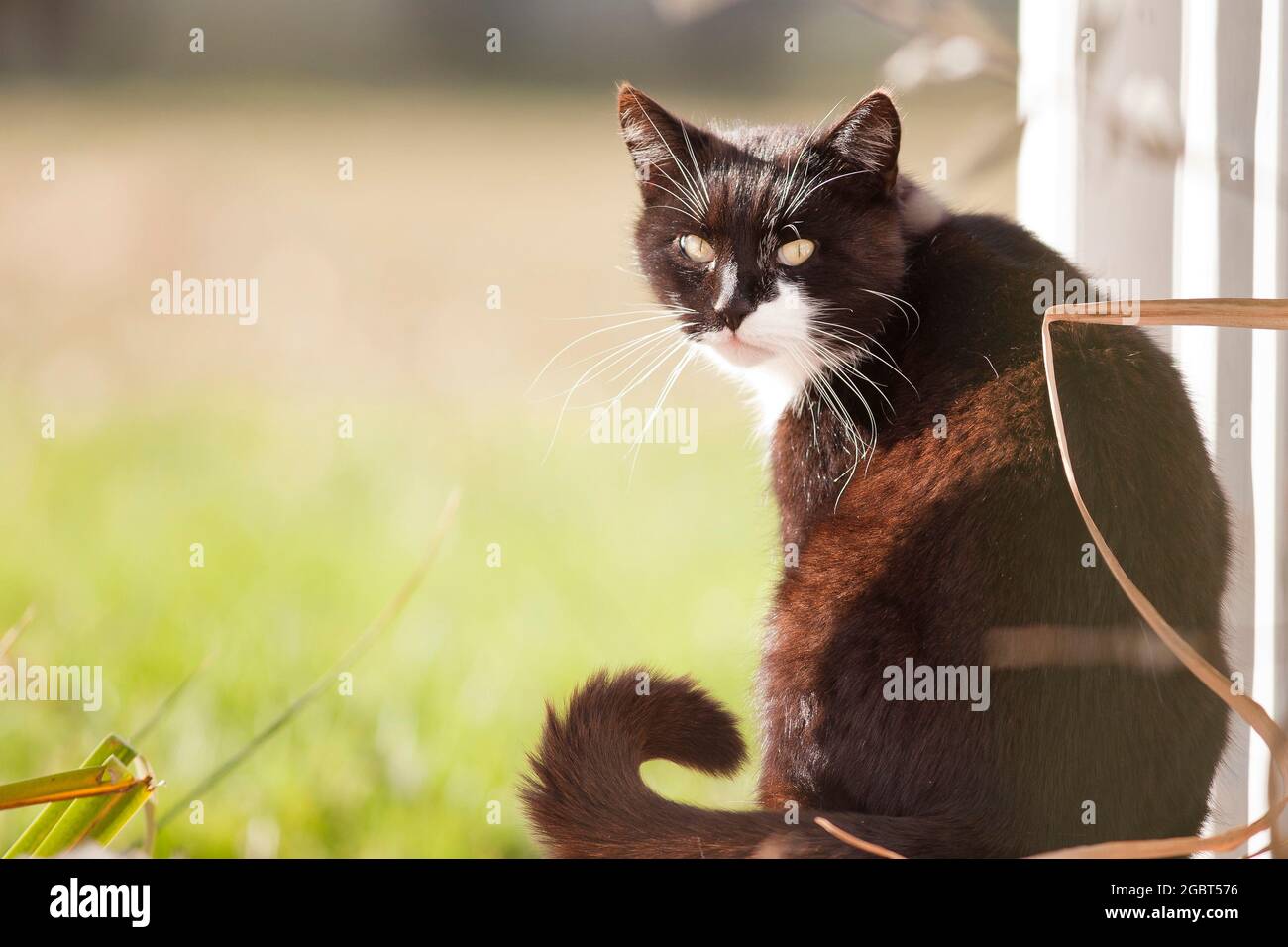 Page 3 - Schwarz Weiß High Resolution Stock Photography and Images - Alamy