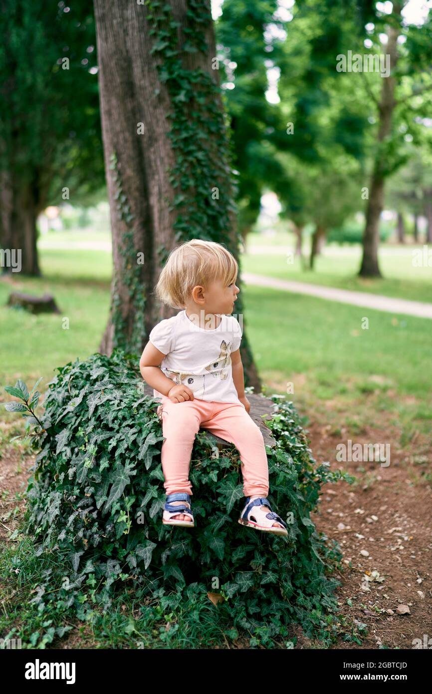 Little girl sits on a tree stump entwined with green ivy in the park ...