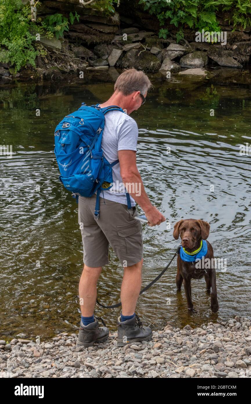 man walking his dog in the lake district national park. man wearing a rucksack, one man and his dog. Stock Photo