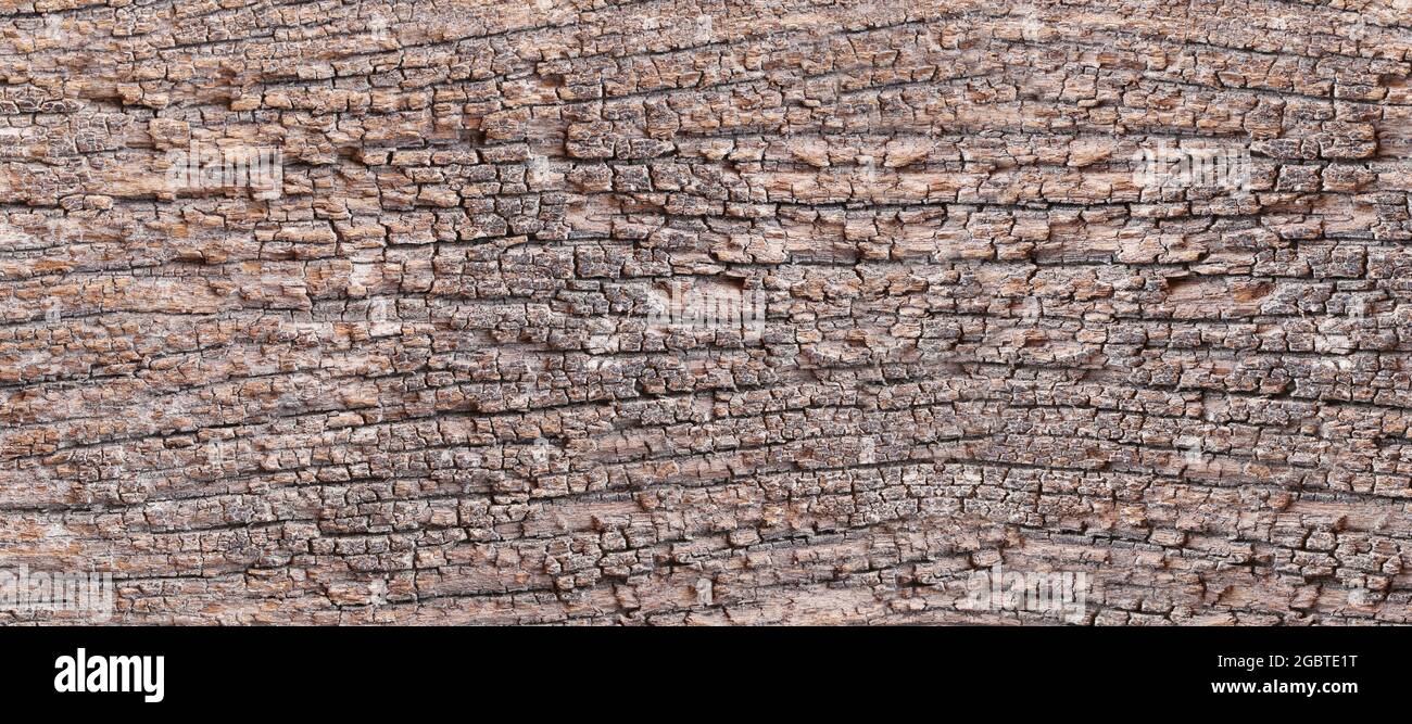 Brown Wood texture background for the design backdrop in concept decorative objects. Stock Photo