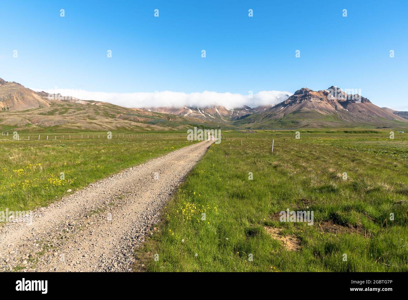 Deserted rough track through meadows leading to mountains on a clear summer day Stock Photo