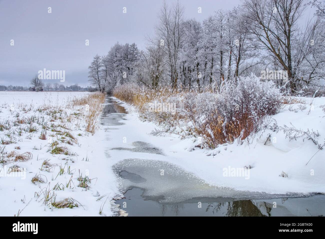 Spreewald im Winter - Spreeforest in cold winter, Brandenburg Stock Photo