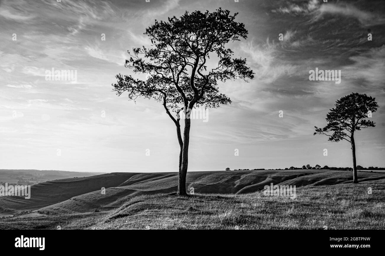 Beautiful sunset countryside fields Black and White Stock Photos ...