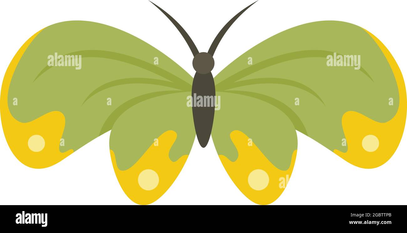 Butterfly icon. Flat illustration of butterfly vector icon isolated on ...