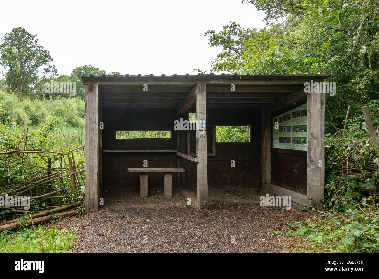 Bird hide overlooking a pond at Great Bookham Common (Bookham Commons), Surrey, England, UK Stock Photo