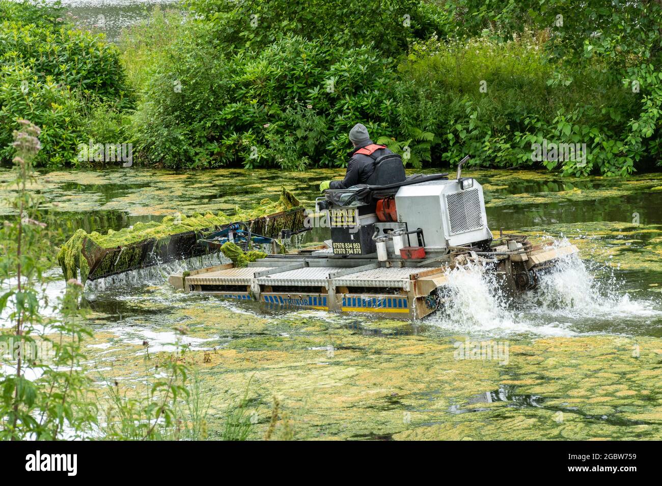 Man working on an amphibious vehicle called a truxor clearing pond weed or algae from a lake, UK Stock Photo