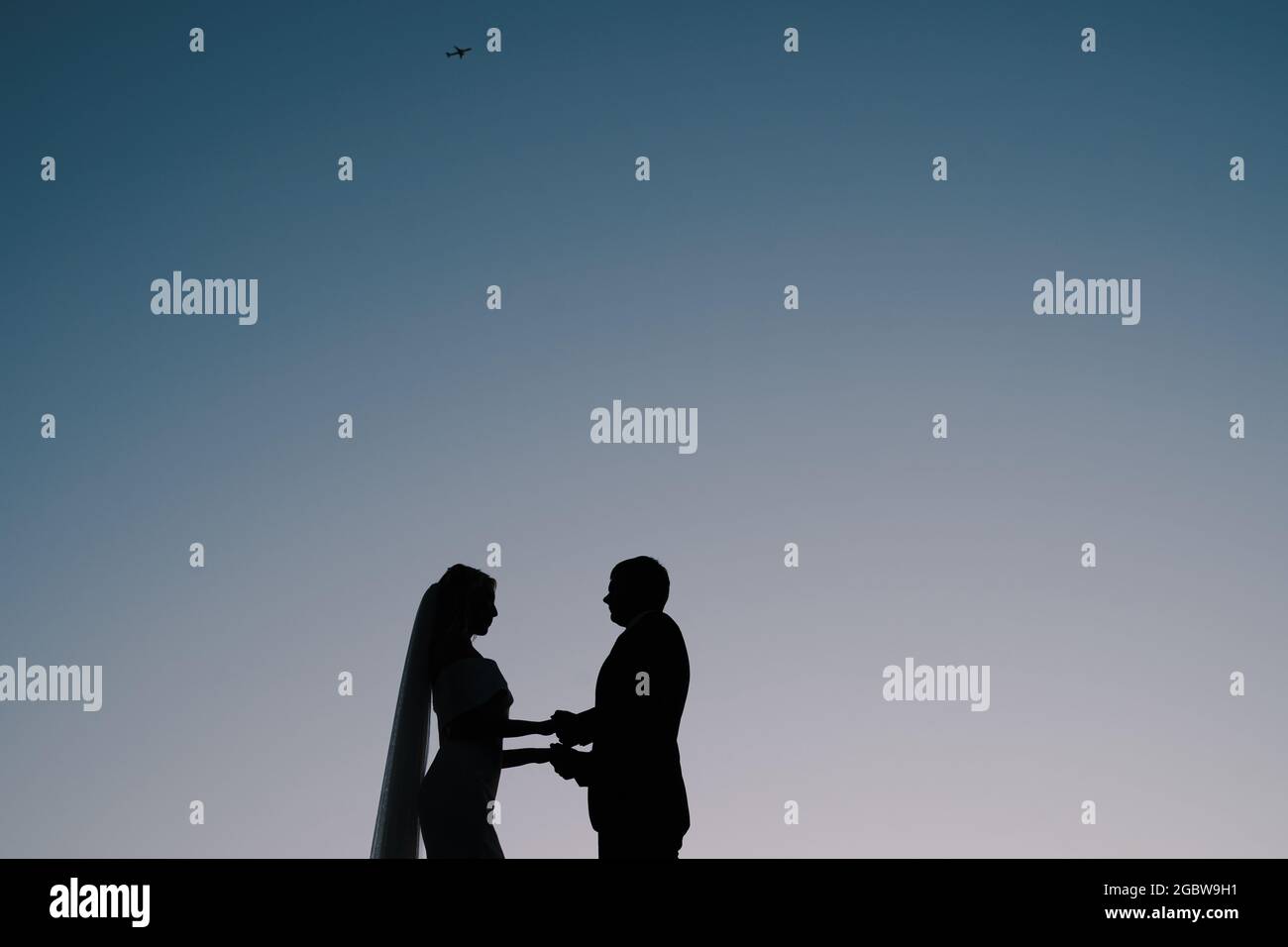 Silhouettes of the bride and groom stand on the background of the ...