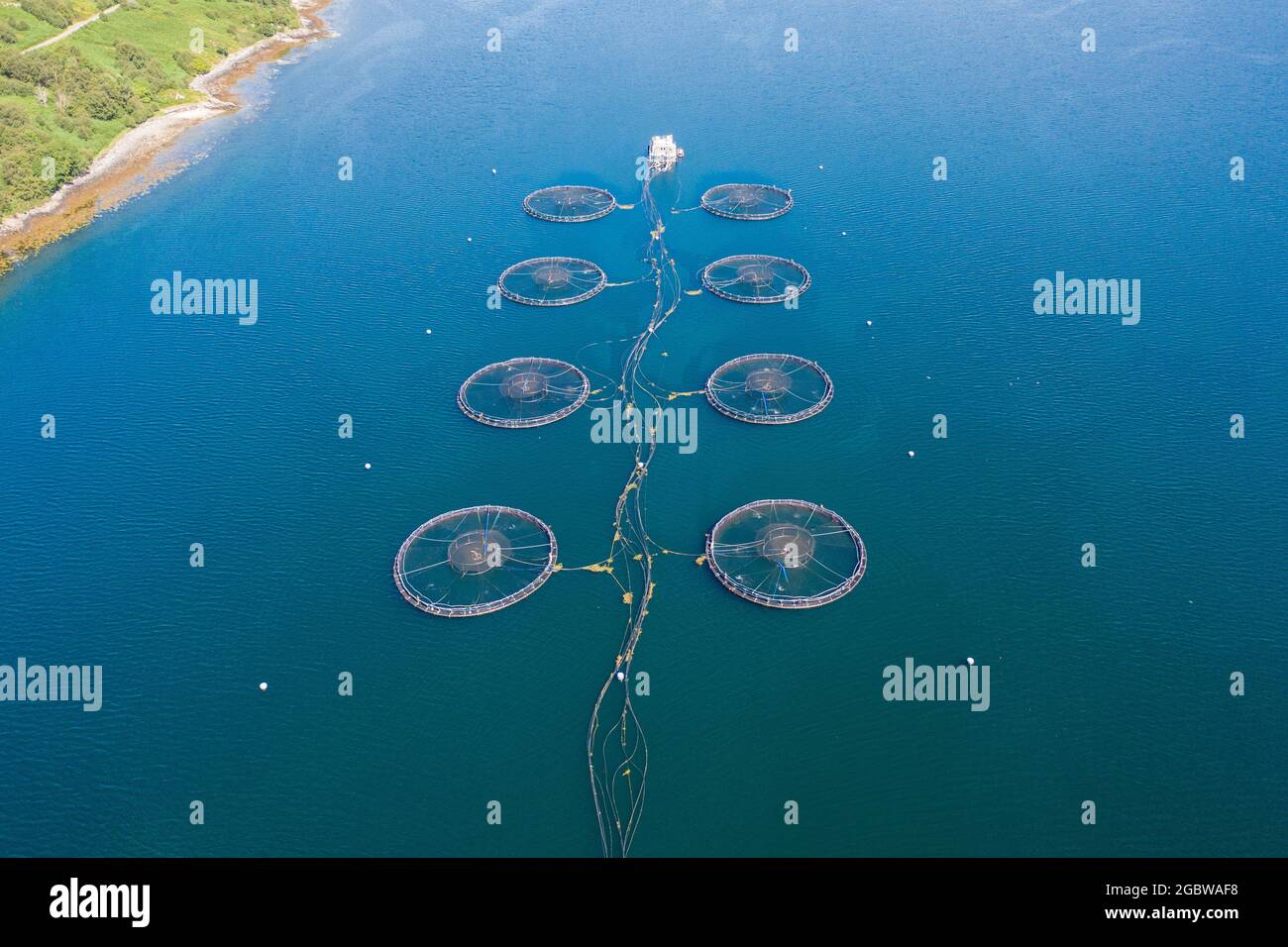 An aquaculture fish farm in Scotland providing farmed salmon, trout and other fish produce for market, these are controversial fishing methods. Stock Photo