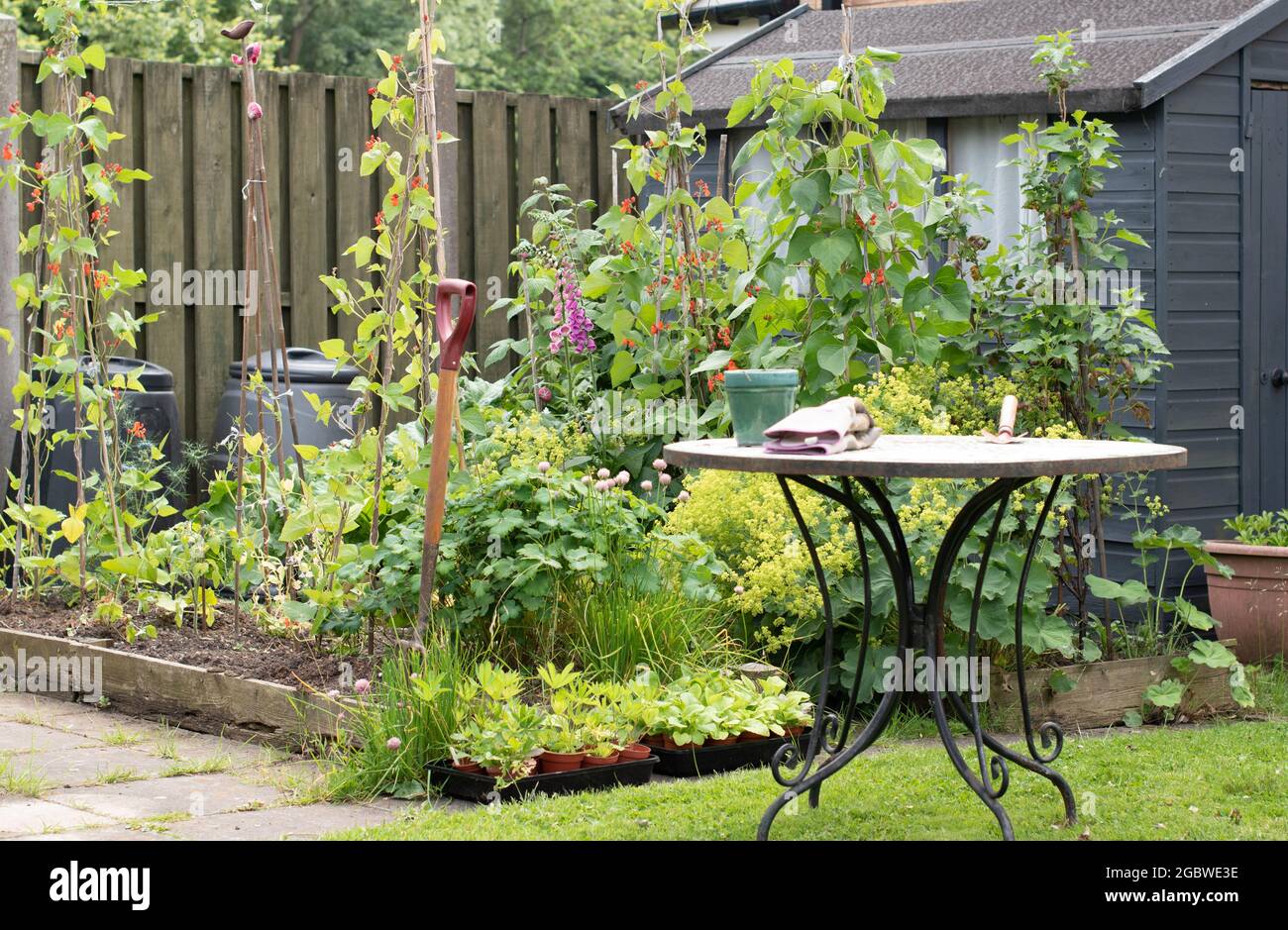 Authentic Garden scene with plants, garden shed and garden table Stock Photo