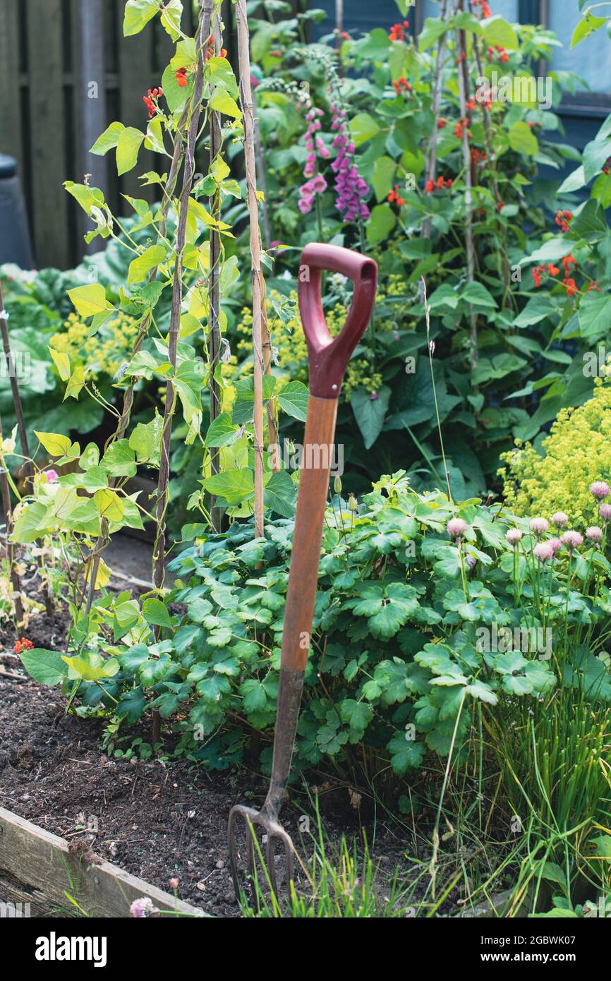 Garden Fork in the soil with plants in the background Stock Photo