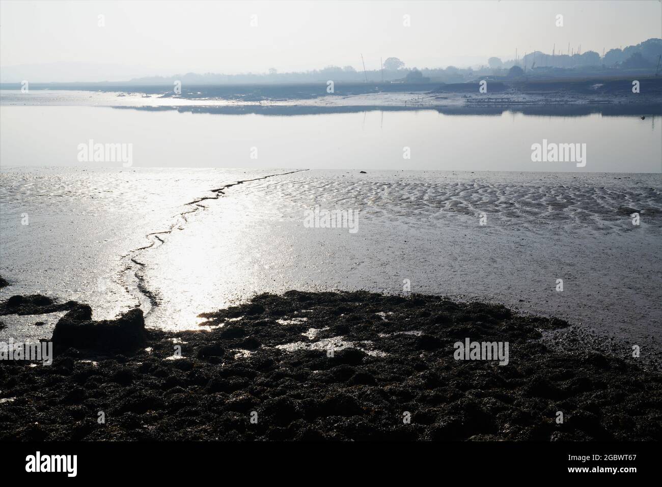MUDDY BANKS OF THE RIVER CROUCH AND THE TRAILS OF WATER CUTTING THROUGH THE MUD, SILVER AND SHIMMERING IN THE EARLY MORNING SUNLIGHT, Stock Photo