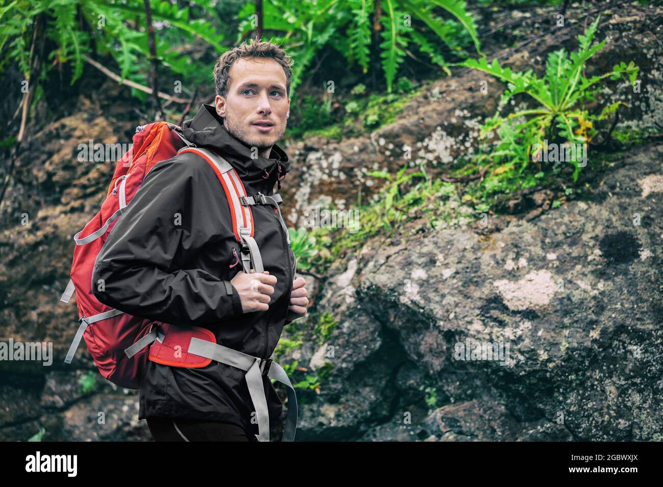 Hiker man hiking in rainforest spring autumn season. Male hiker looking away walking in outdoors forest nature trail path. Caucasian male model on Stock Photo