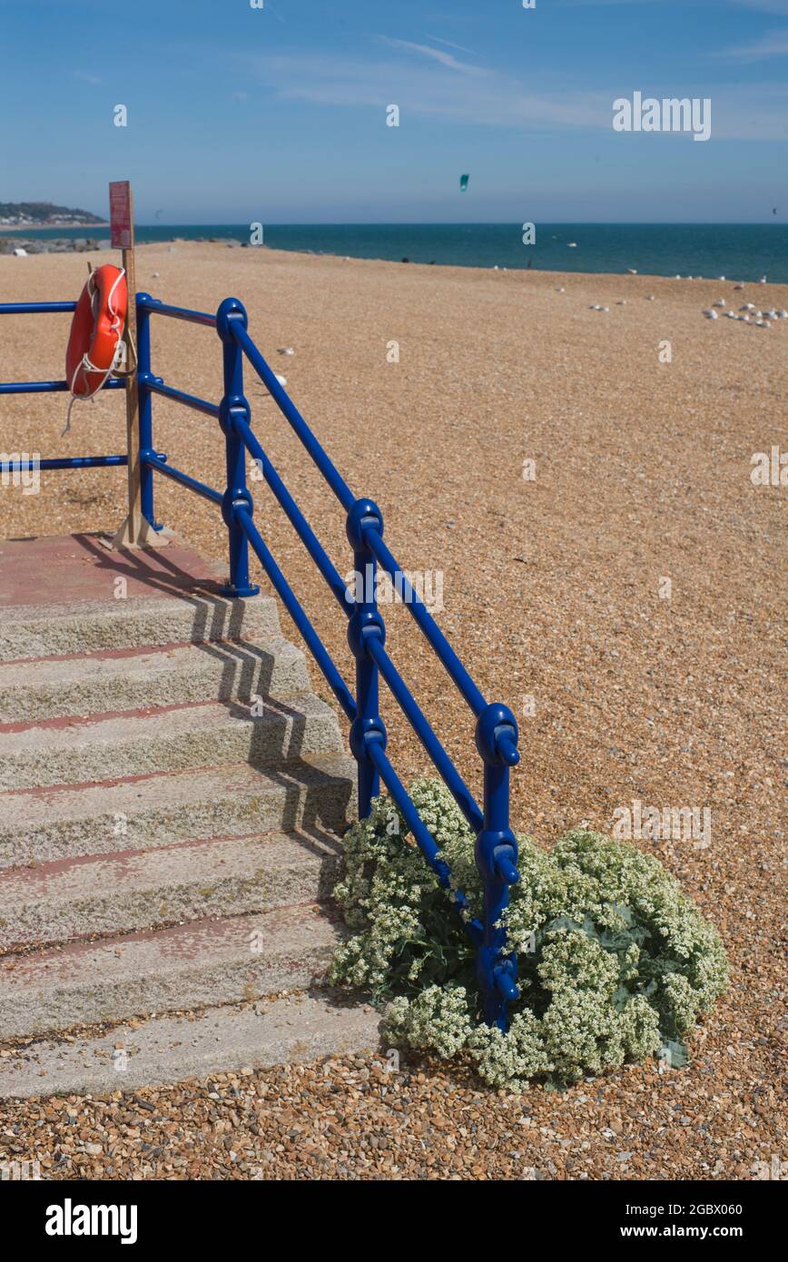 Blue railing and steps down to the beach Stock Photo - Alamy