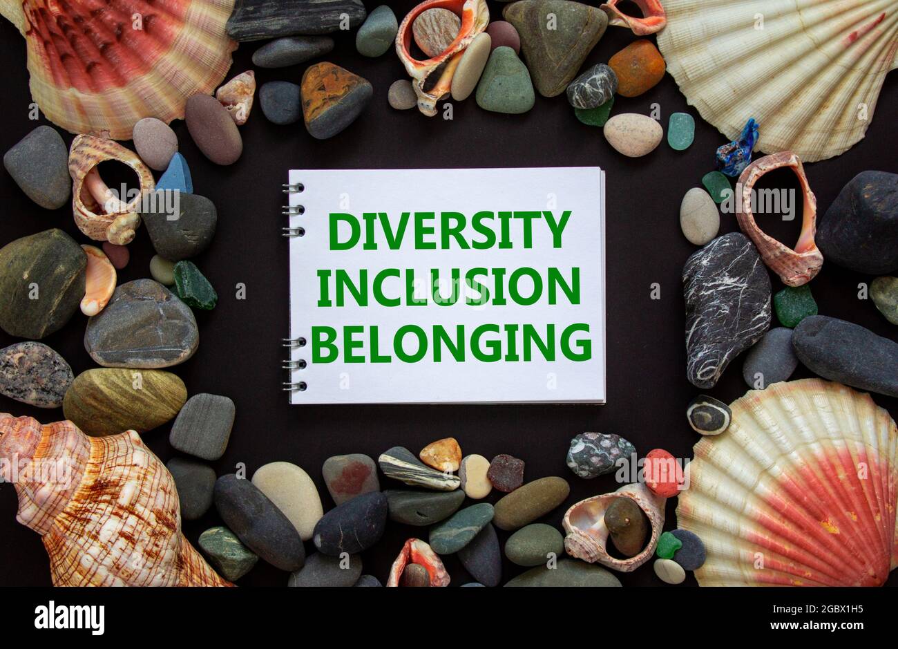 DIB, diversity, inclusion, belonging symbol. Words DIB, diversity, inclusion, belonging on a beautiful white note, black background. Stones and seashe Stock Photo