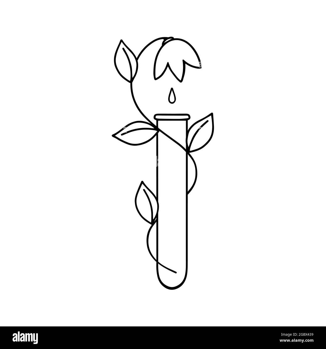 Alternative medicine. An illustration of a laboratory test tube with a plant in the style of doodles in a vector format, suitable for use on the Inter Stock Vector