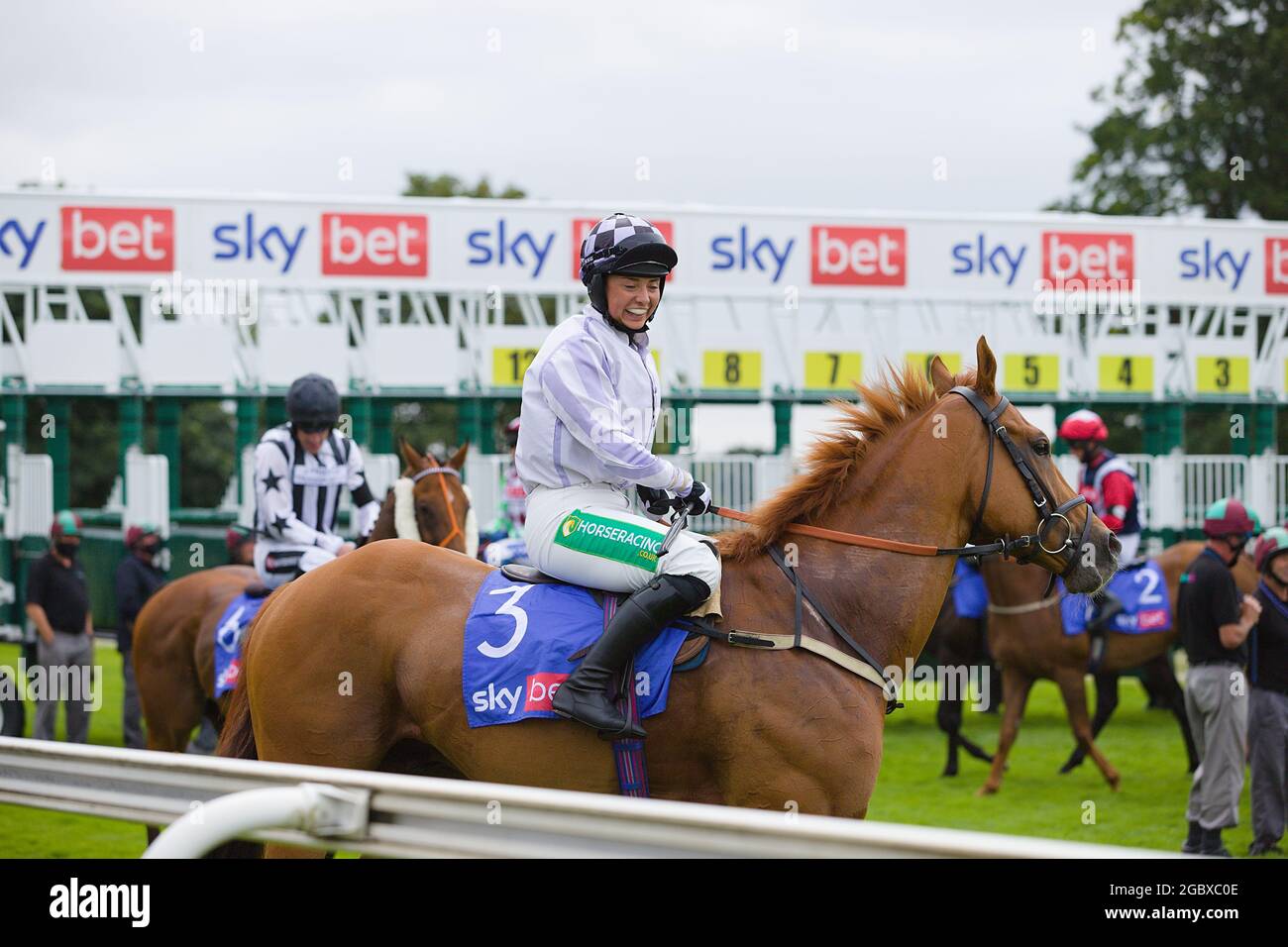 Ginger jam horse hires stock photography and images Alamy