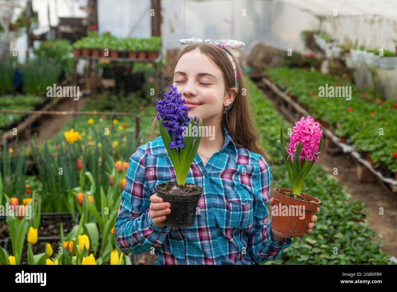 happy teen girl florist care pot plants in greenhouse, eco Stock Photo ...