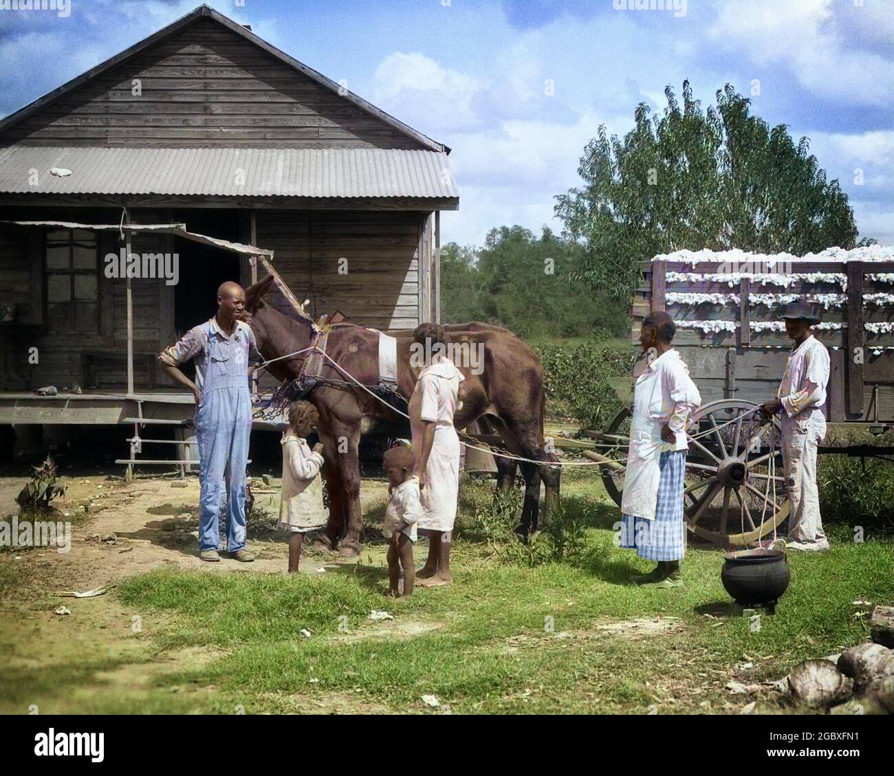 1930s AFRICAN AMERICAN SHARECROPPING TENANT FARM FAMILY OUTSIDE THEIR HOME WITH MULE DRAW WAGON OF PICKED COTTON MISSISSIPPI USA - c6256c HAR001 HARS NOSTALGIC BEAUTY COMMUNITY COLOR MOTHERS OLD TIME BUSY FUTURE NOSTALGIA BROTHER INDUSTRY OLD FASHION SISTER POVERTY 1 WAGON JUVENILE FEAR TEAMWORK COTTON SONS FAMILIES JOY LIFESTYLE CELEBRATION FEMALES HOUSES MARRIED BROTHERS POOR RURAL SPOUSE HUSBANDS HOME LIFE 6 COPY SPACE FULL-LENGTH LADIES DAUGHTERS PERSONS RESIDENTIAL MALES RISK SIX BUILDINGS SERENITY SIBLINGS SPIRITUALITY CONFIDENCE SISTERS TRANSPORTATION DRAW FATHERS AGRICULTURE PARTNER Stock Photo