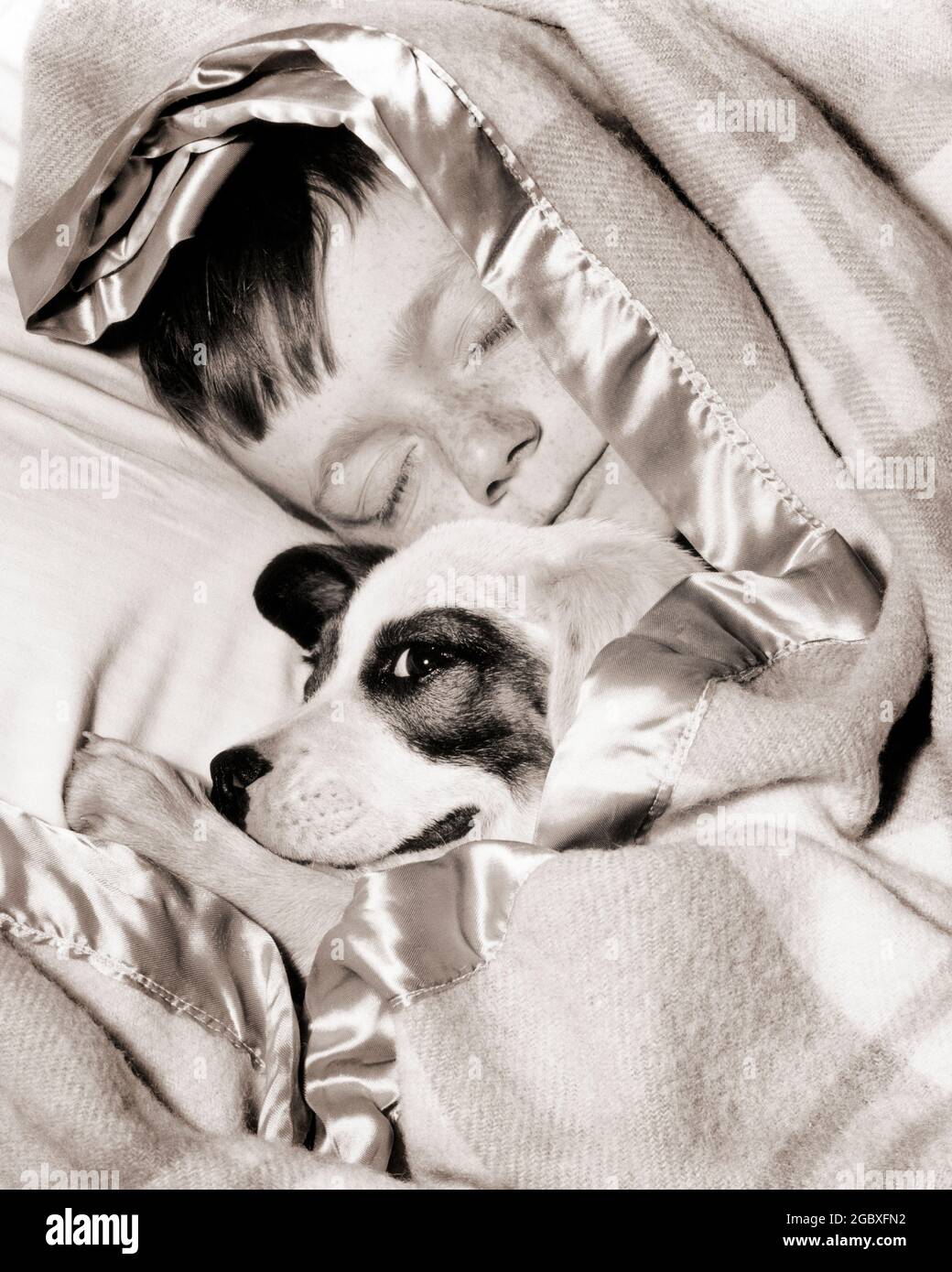 Why Do Some Dogs Like To Sleep Under The Covers