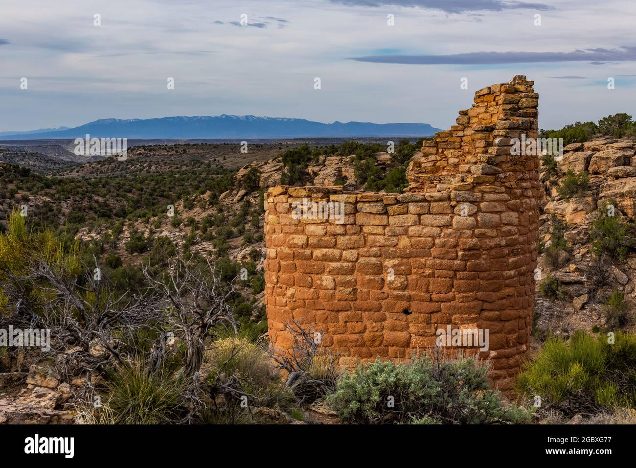 Horseshoe Tower in Hovenweep National Monument, Colorado, USA Stock Photo Alamy