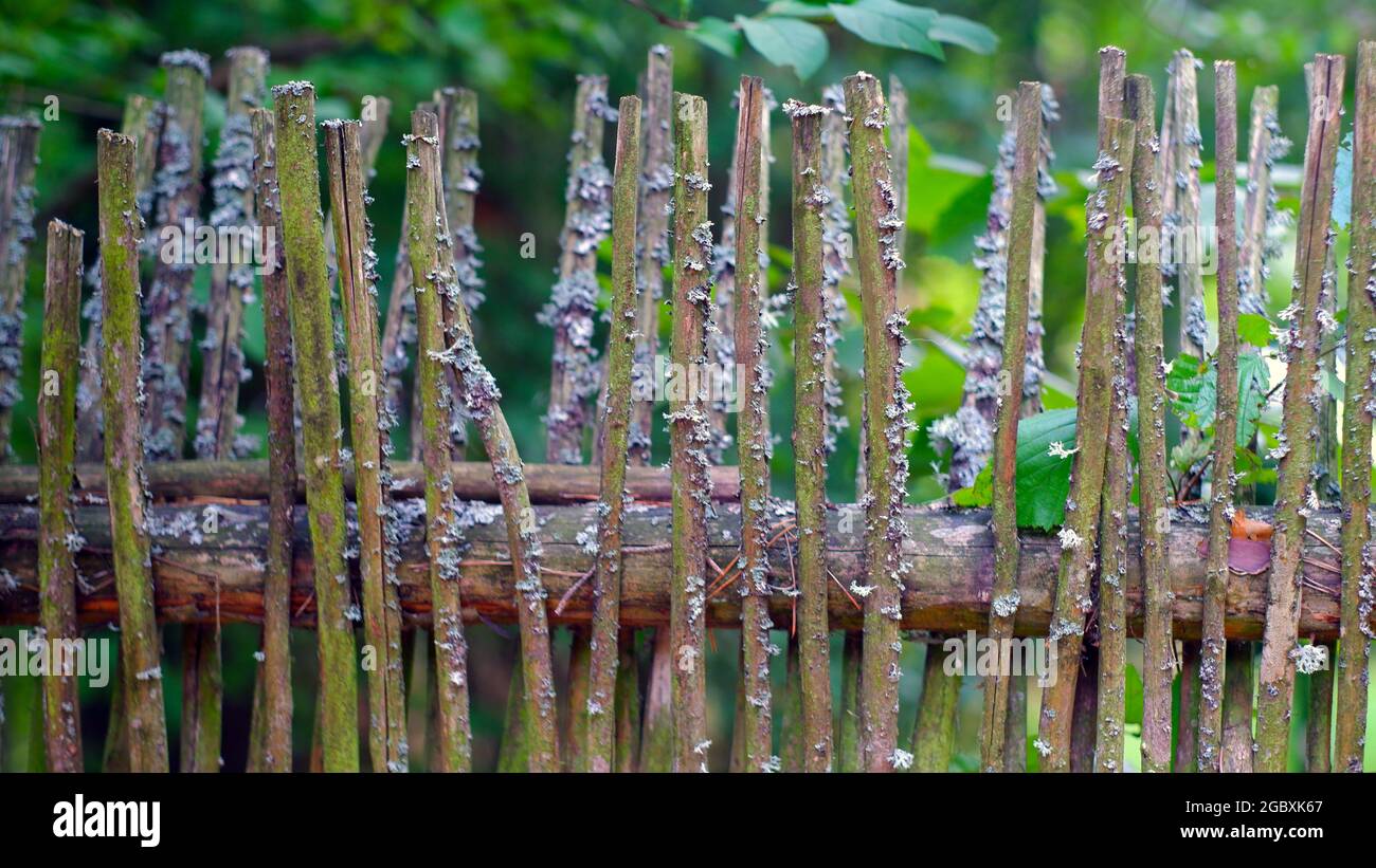A fence made of branches. Summer sunny day. Natural material for the fence. Rustic natural background. Stock Photo
