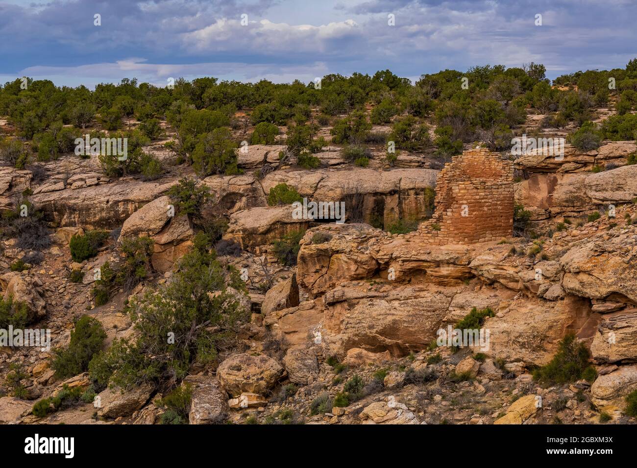 Horseshoe Tower in Hovenweep National Monument, Colorado, USA Stock Photo Alamy