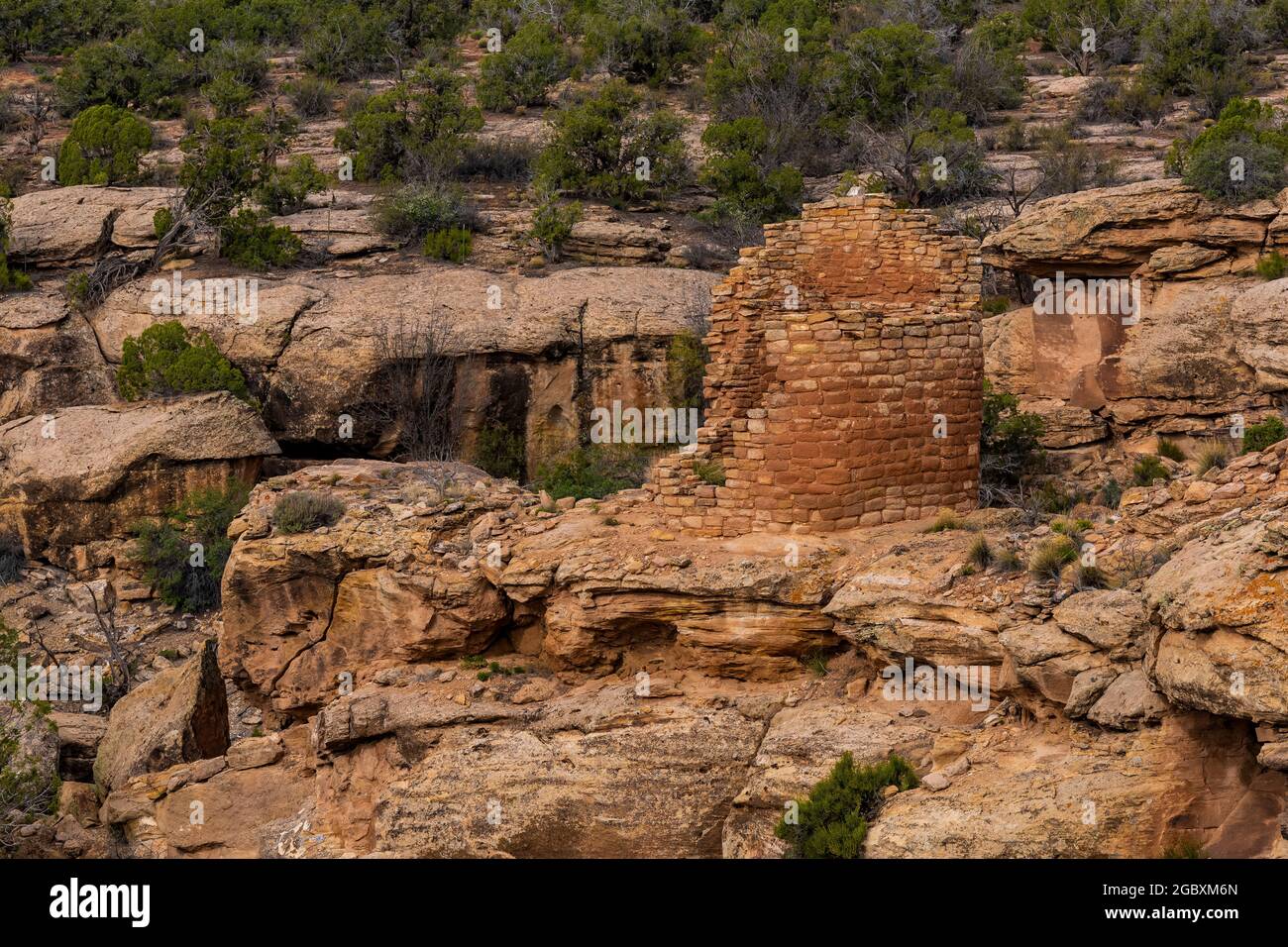 Horseshoe Tower in Hovenweep National Monument, Colorado, USA Stock Photo Alamy