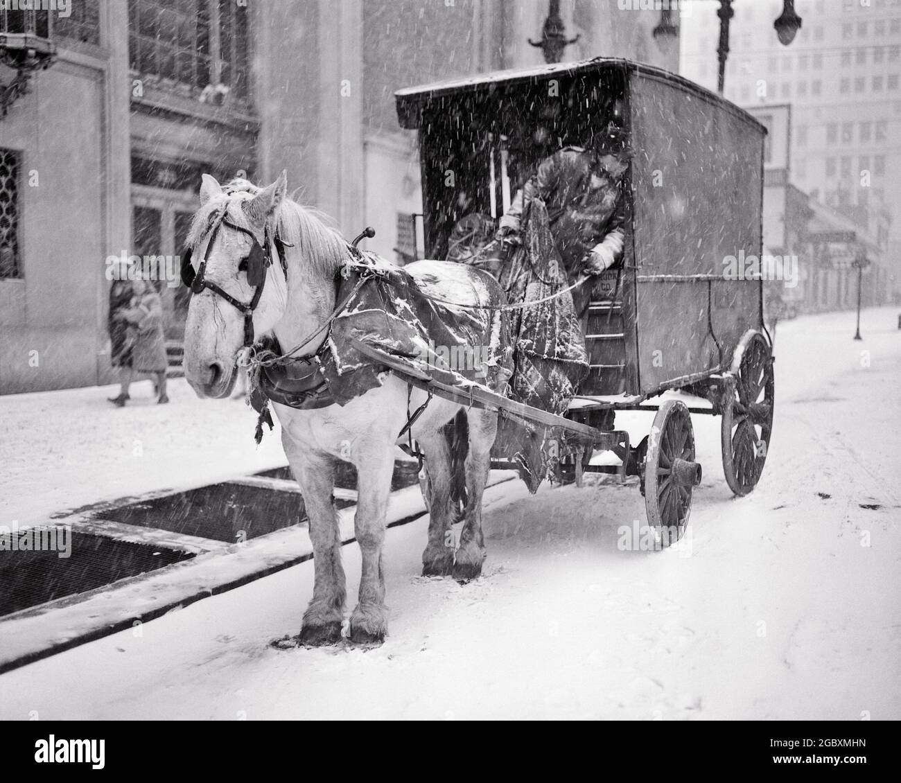 Future of Philly horse-drawn carriage rides uncertain - WHYY