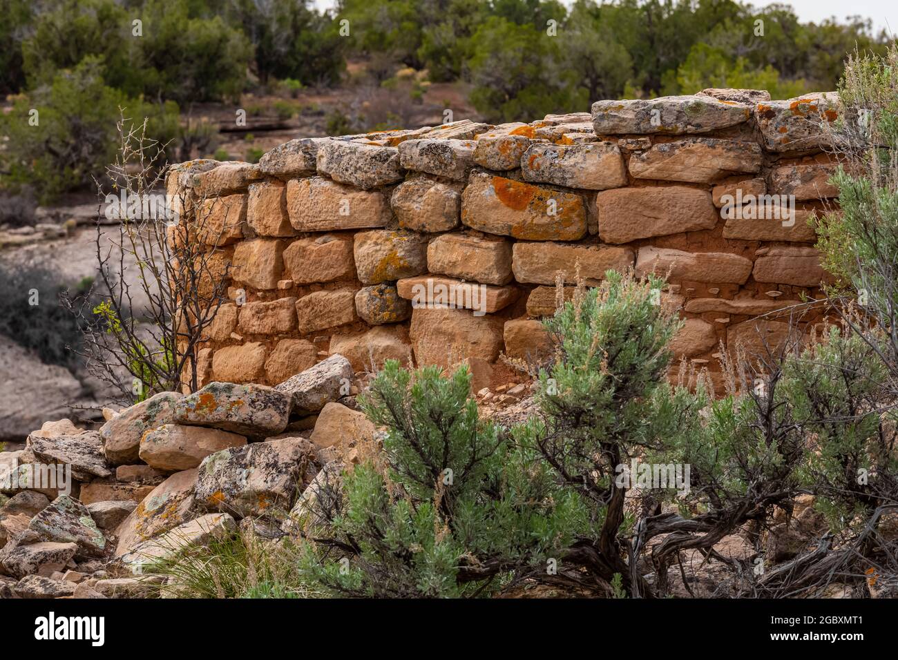 Ruins of Hackberry Pueblo in Hovenweep National Monument, Colorado, USA ...