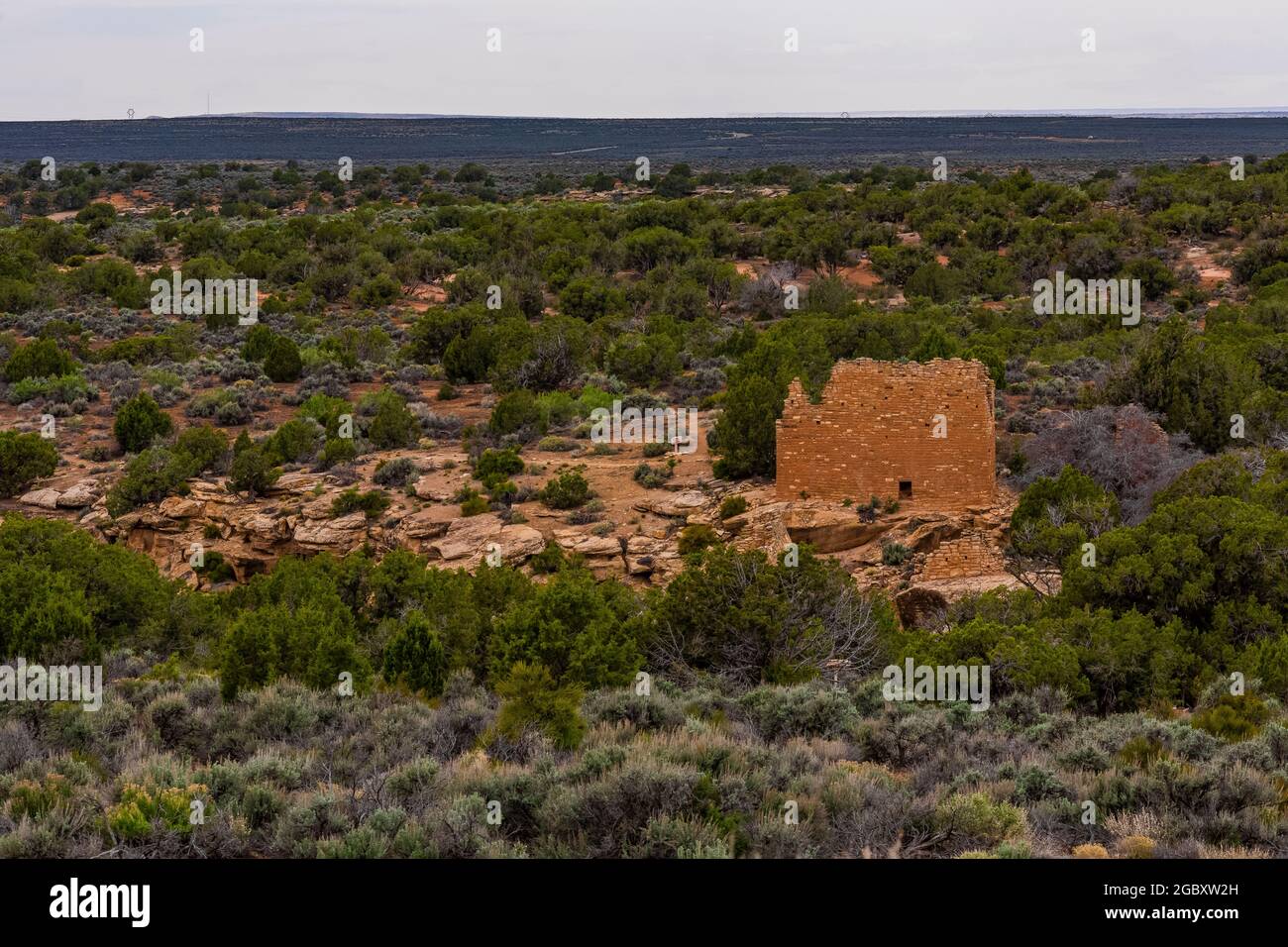 Holly House built by Ancient Puebloans in the Holly Unit of Hovenweep