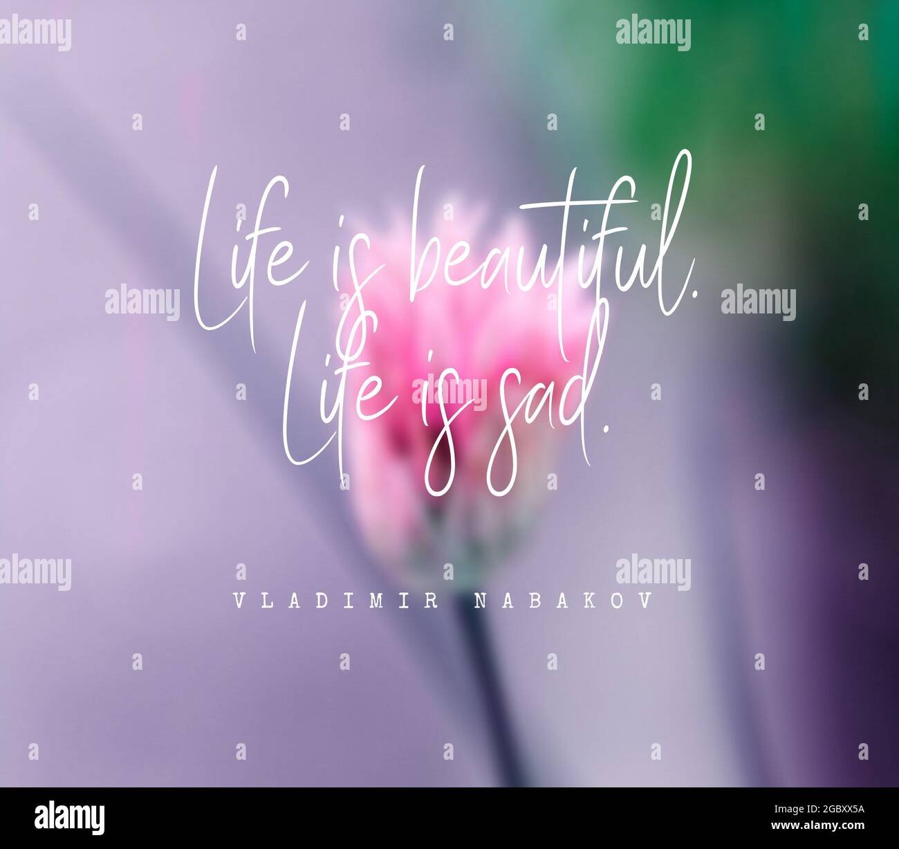 Quote by Vladimir Nabakov. Life is beautiful. Life is sad Stock Photo -  Alamy, image size:1300x1227